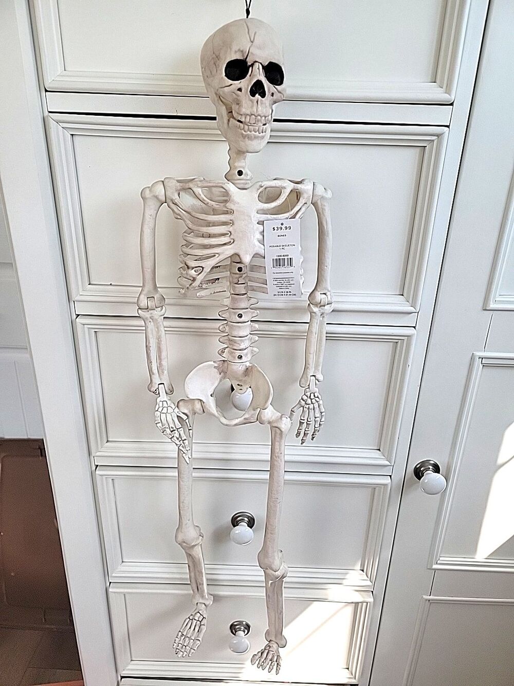 Place & Time 36" Tall Skeleton Posable Halloween Day of the Dead New W tags
